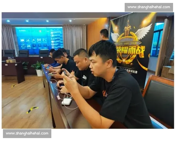 《激战荣耀:电子竞技的狂潮与梦想之歌》 《激战荣耀:电子竞技的狂潮与梦想之歌》