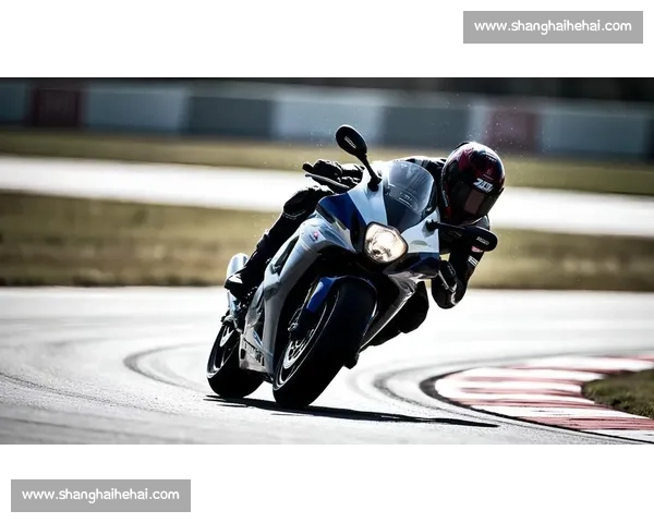 惊心动魄!WRC上演速度与激情,看得我热血沸腾 惊心动魄!WRC上演速度与激情,看得我热血沸腾