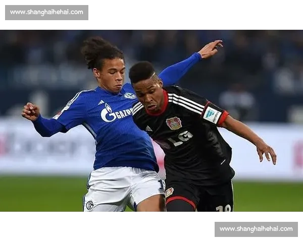 沙尔克04能否走出低谷,矿工的崛起令人期待 沙尔克04能否走出低谷,矿工的崛起令人期待