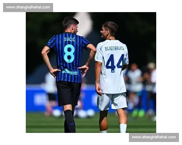 告别老臣,迎接新援,国米换血进行时,新篇章即将开启! 告别老臣,迎接新援,国米换血进行时,新篇章即将开启!