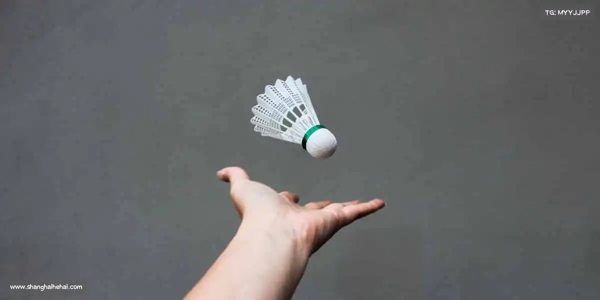 我们的品牌价值